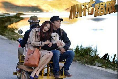 心花路放bt在线观看,一场心灵的释放之旅 第3张 心花路放bt在线观看,一场心灵的释放之旅 第3张